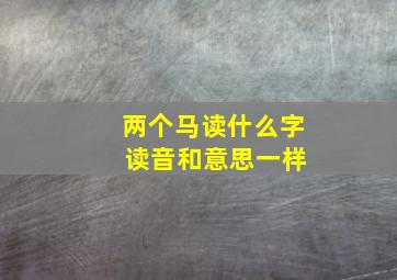 两个马读什么字 读音和意思一样